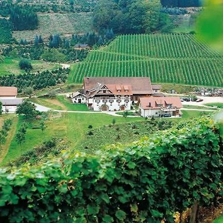 Weingut Alfred Huber Leilighet Durbach Eksteriør bilde