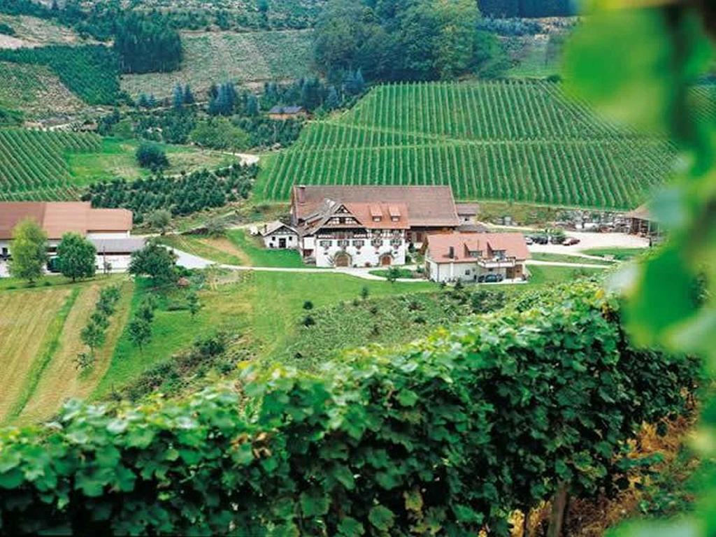 Weingut Alfred Huber Leilighet Durbach Eksteriør bilde