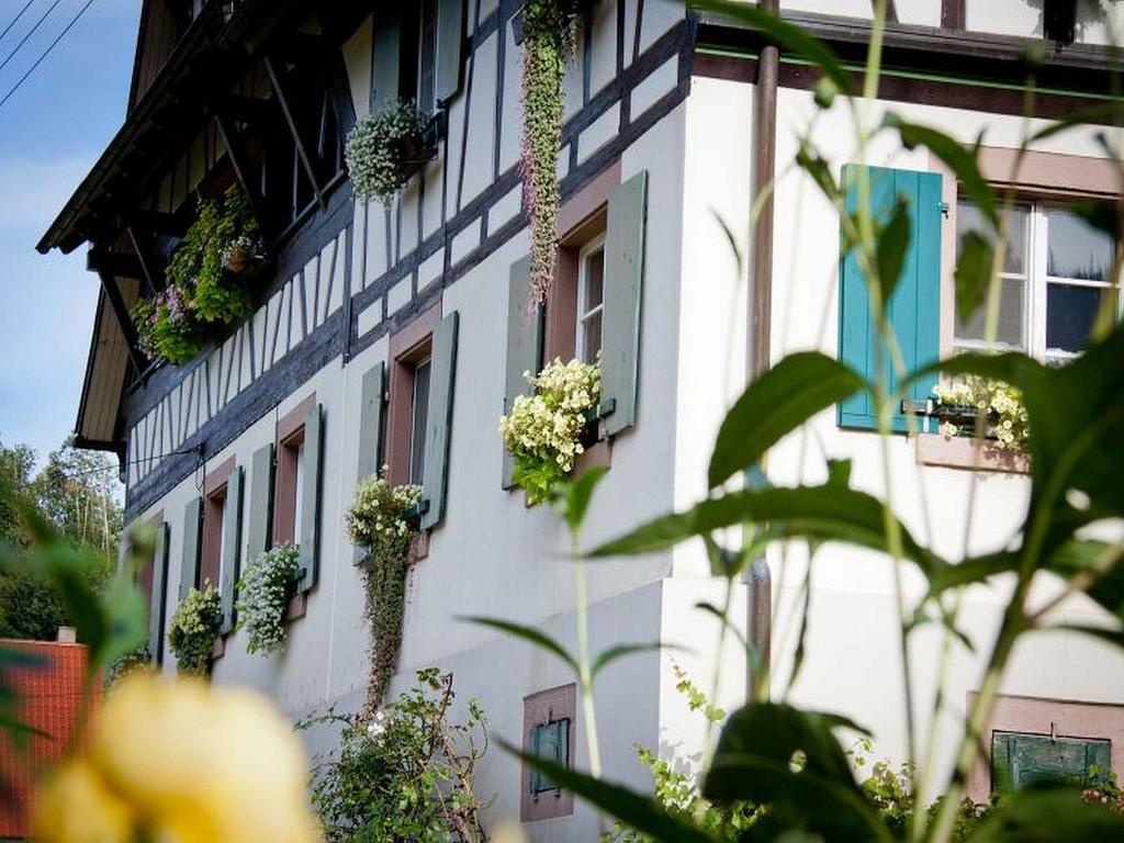 Weingut Alfred Huber Leilighet Durbach Eksteriør bilde